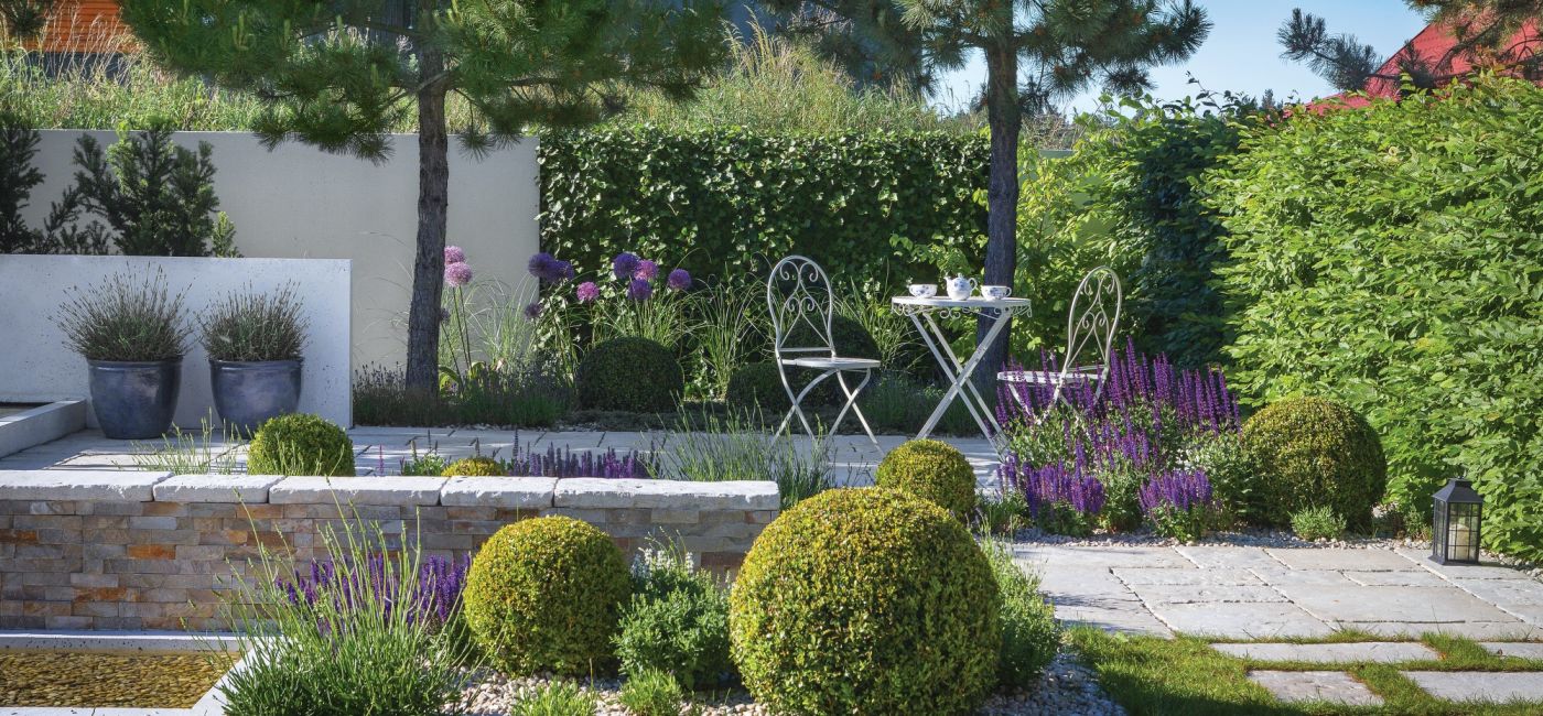aranżacja ogrodu w bieli fiolecie i zieleni