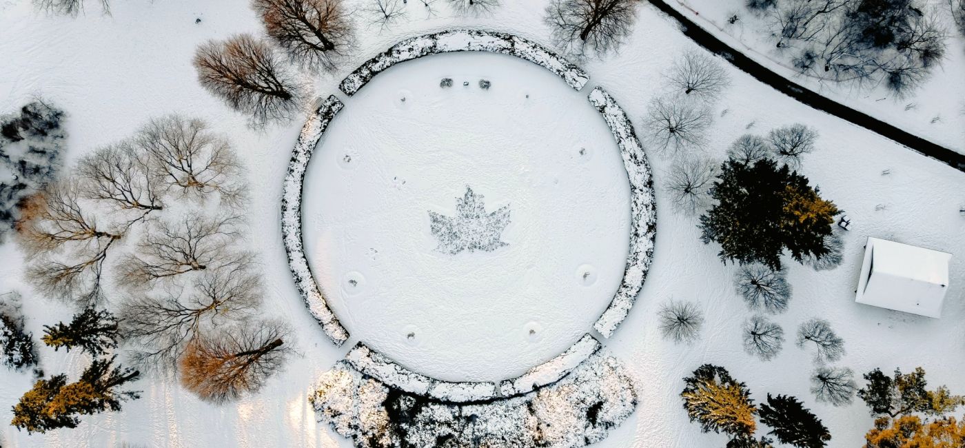jakie akcesoria są niezbędne zimą w ogrodzie