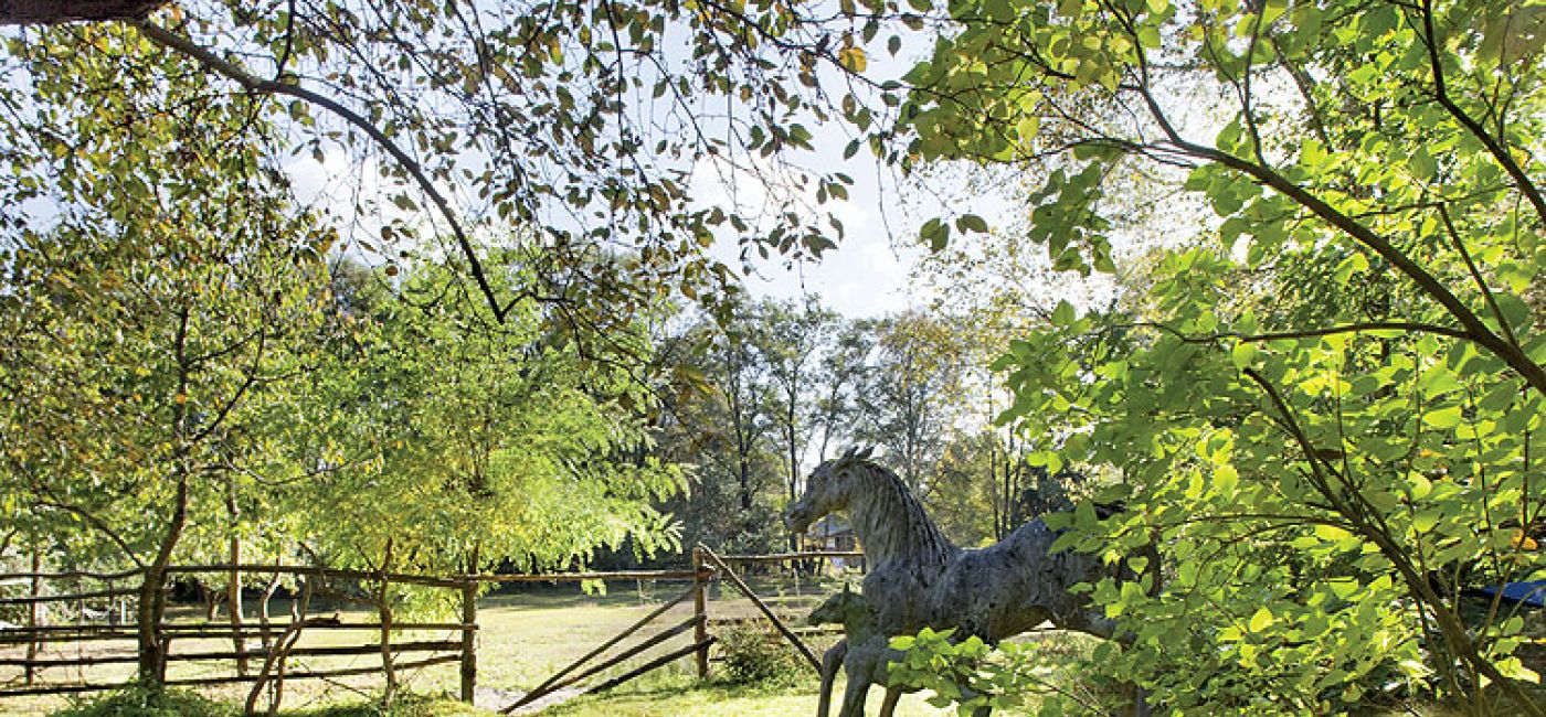 Anna Dębska rzeźbi zwierzęta. Jej drewniany dom stoi w lesie, a pomiędzy drzewami stoi mnóstwo rzeźb.