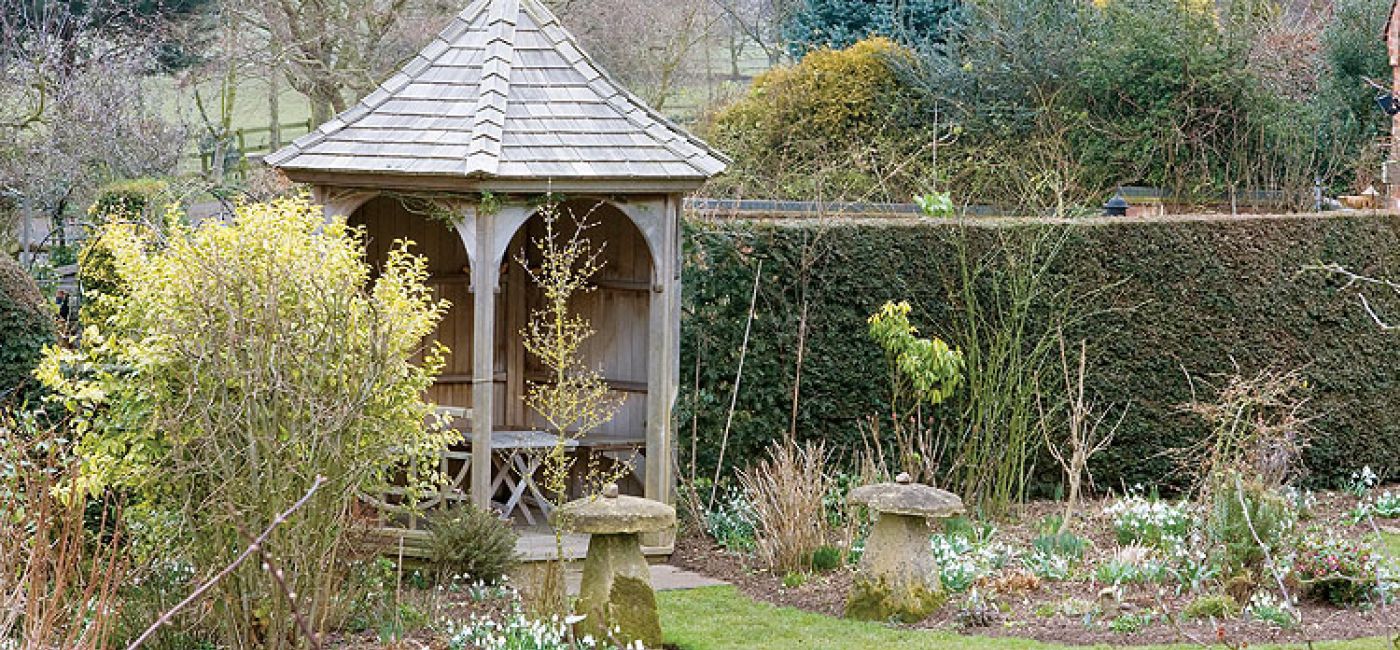 Białe kępki przebiśniegów najlepiej wyglądają na kolorowym tle. Dlatego w ich towarzystwie znalazły się błękitne