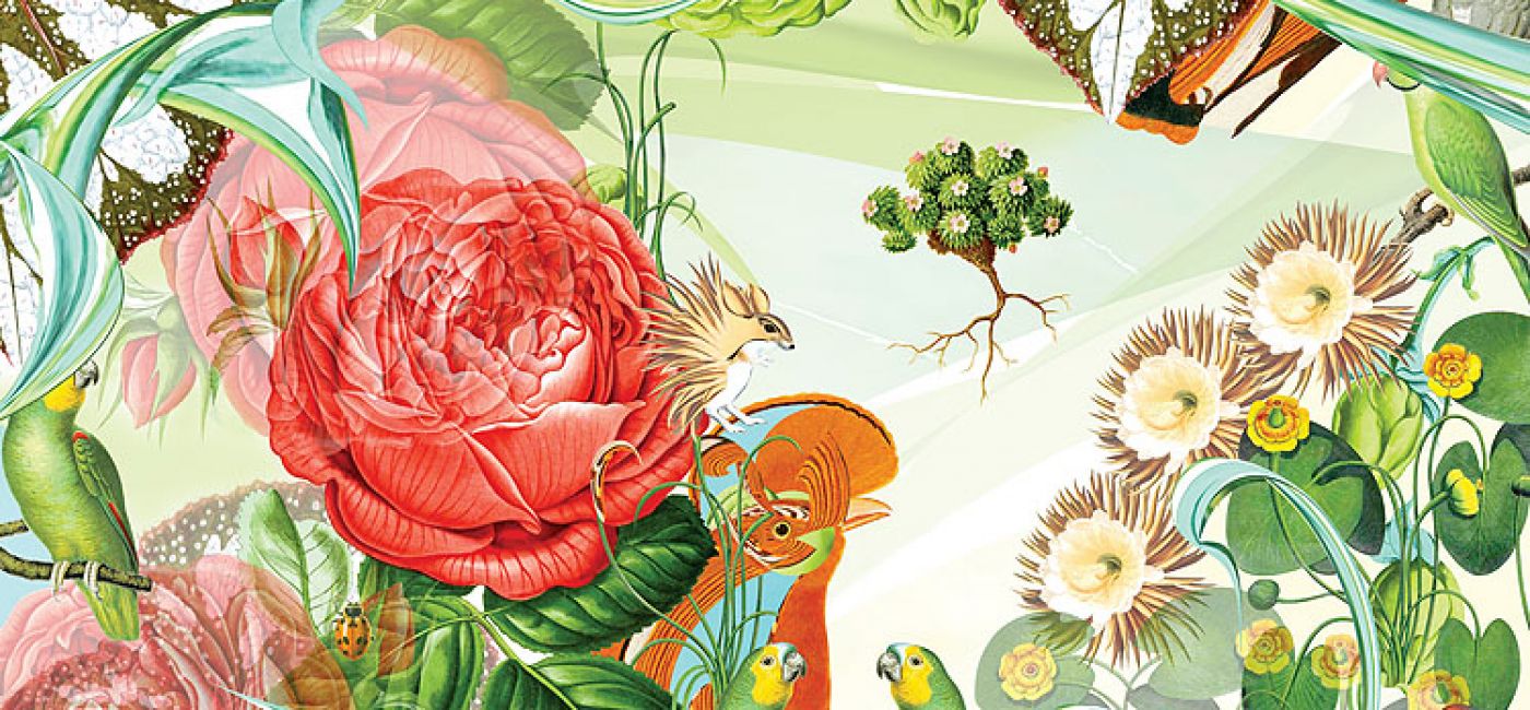 Botaniczne grafiki Bożki Rydlewskiej