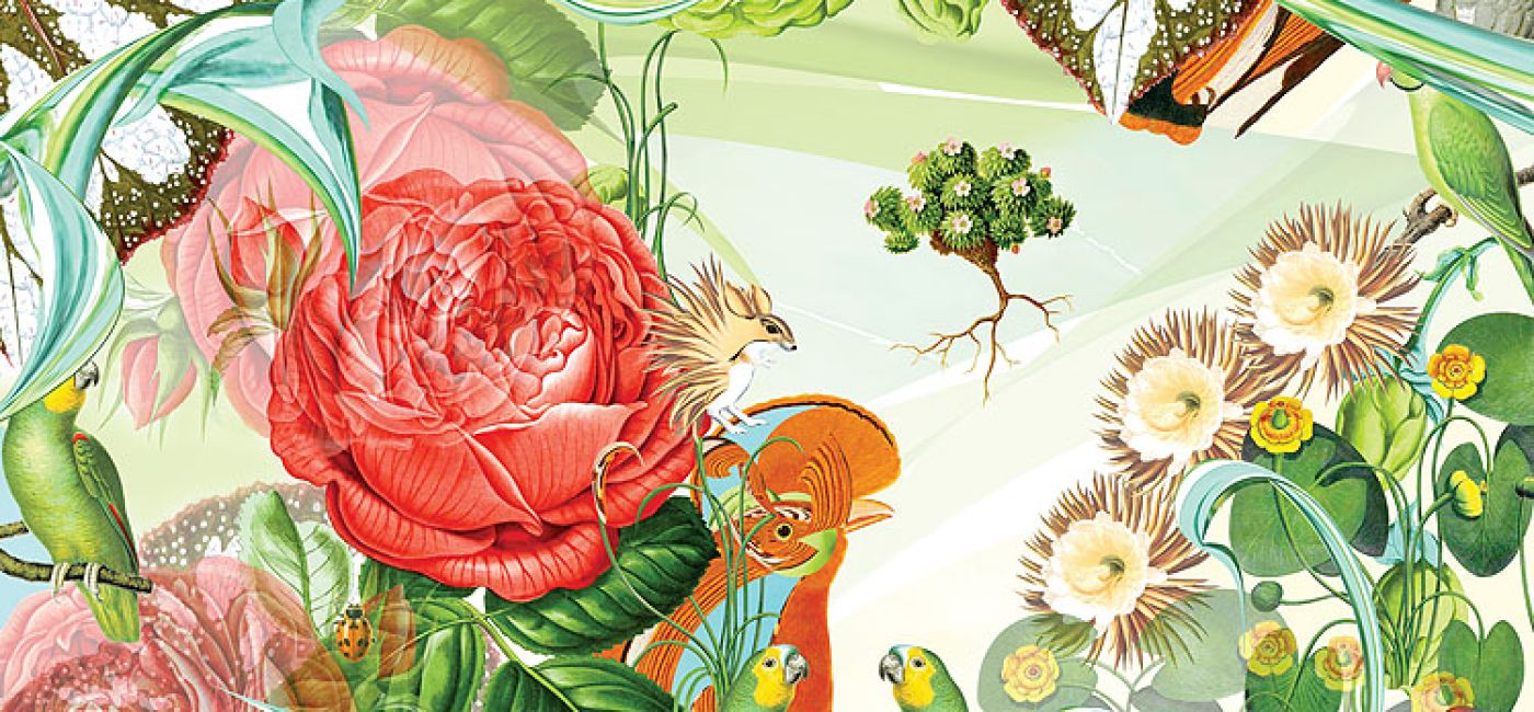 Botaniczne grafiki Bożki Rydlewskiej