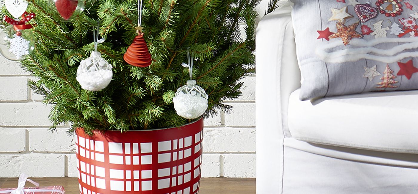 Donica może także posłużyć jako osłonka, gdy kupimy choinkę od razu w doniczce (mniejszej)