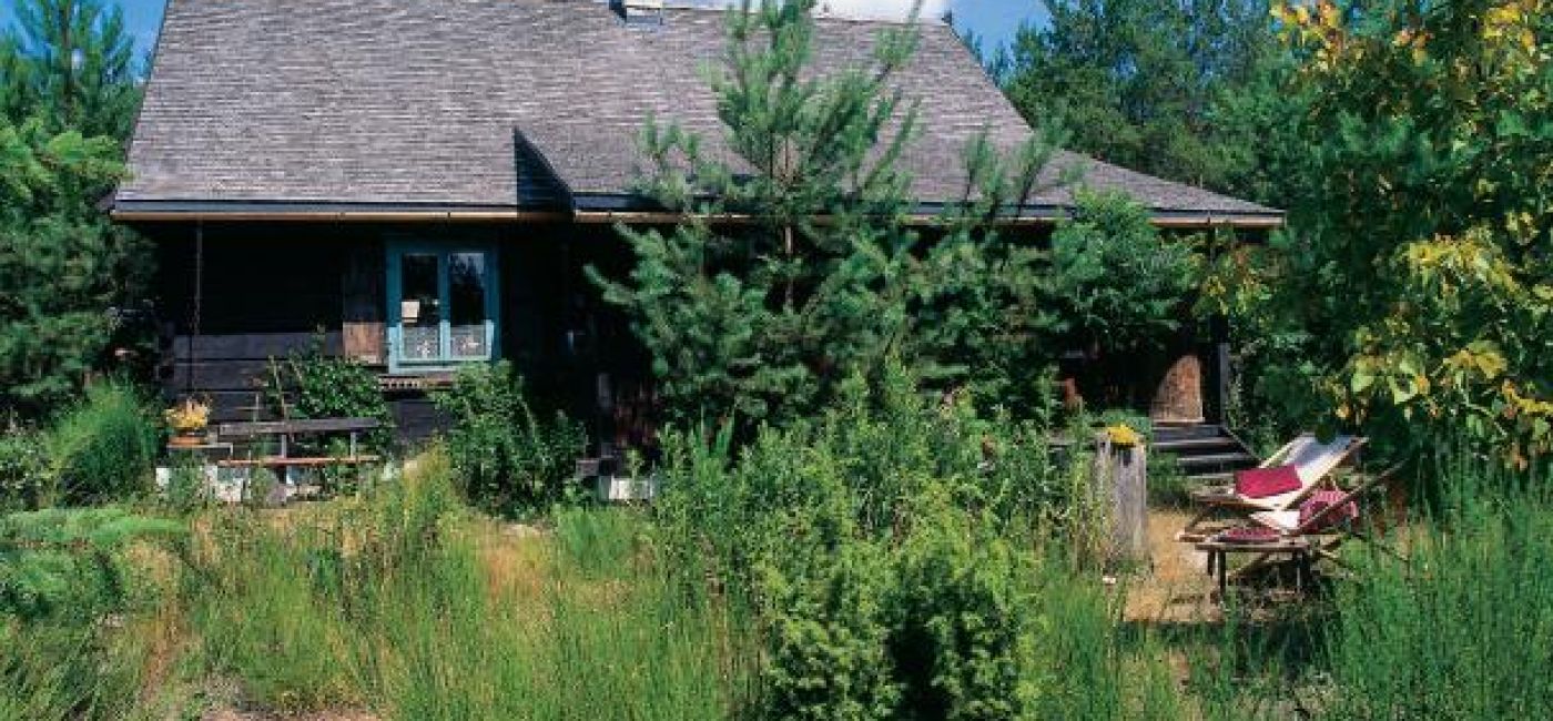 Drewniany dom otaczają drzewa i trawy.