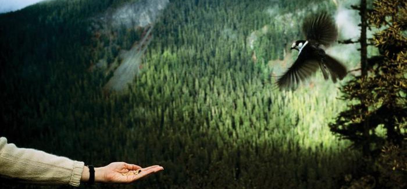 Fotografia Tomasza Tomaszewskiego. Sztuka patrzenia