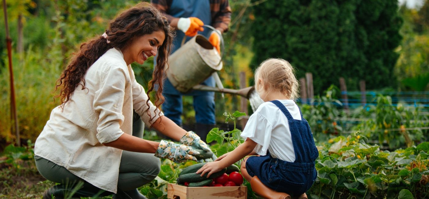jak zaplanować ogród warzywny