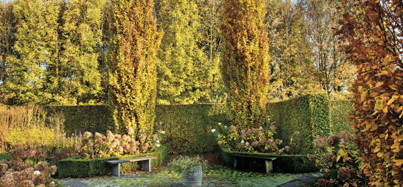 Najpiękniejszy jesienny ogród Holandii