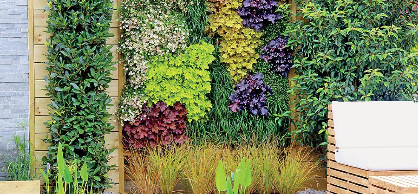 Kolorowa ściana z pięciu odmian żurawek różniących sie kolorem ( Lime Rickey , Creme Brulee , Marmalade ,