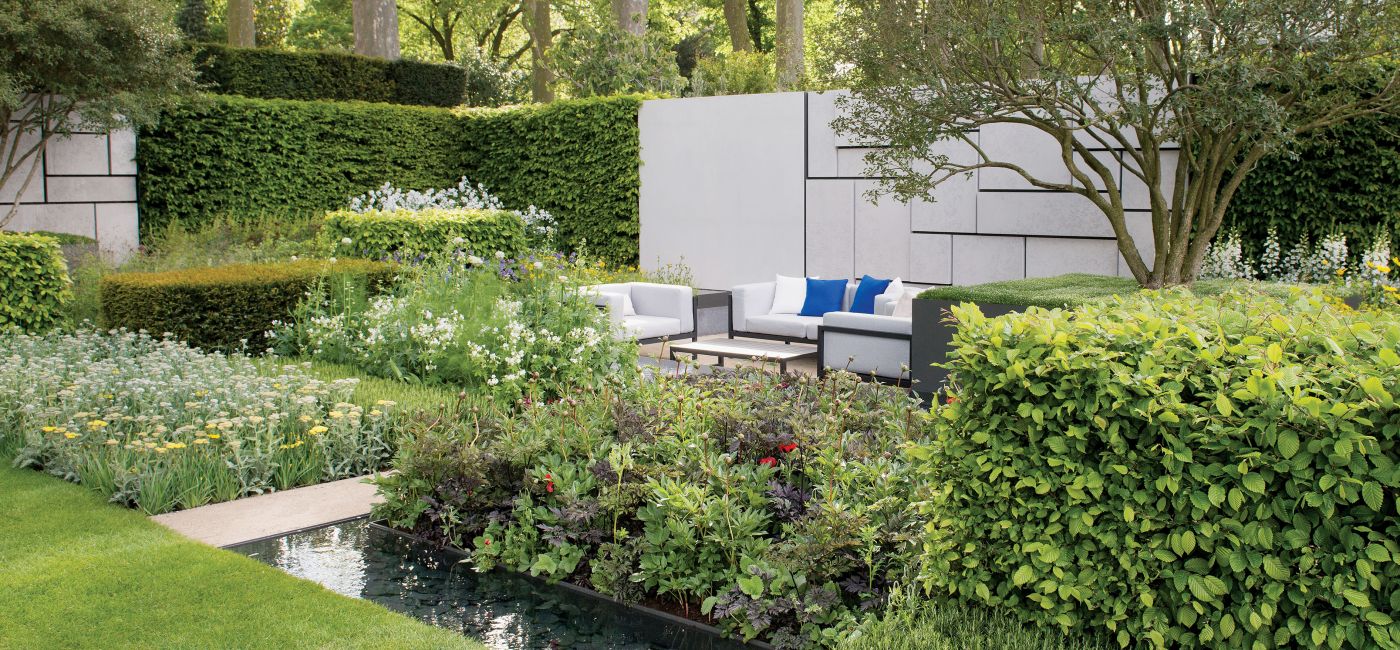 Oczko wśród klonów