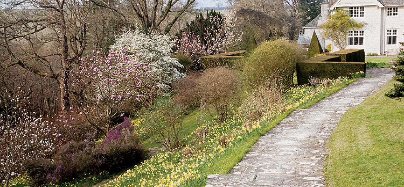 Ogród w Sherwood. Magnoliami wiosna się zaczyna