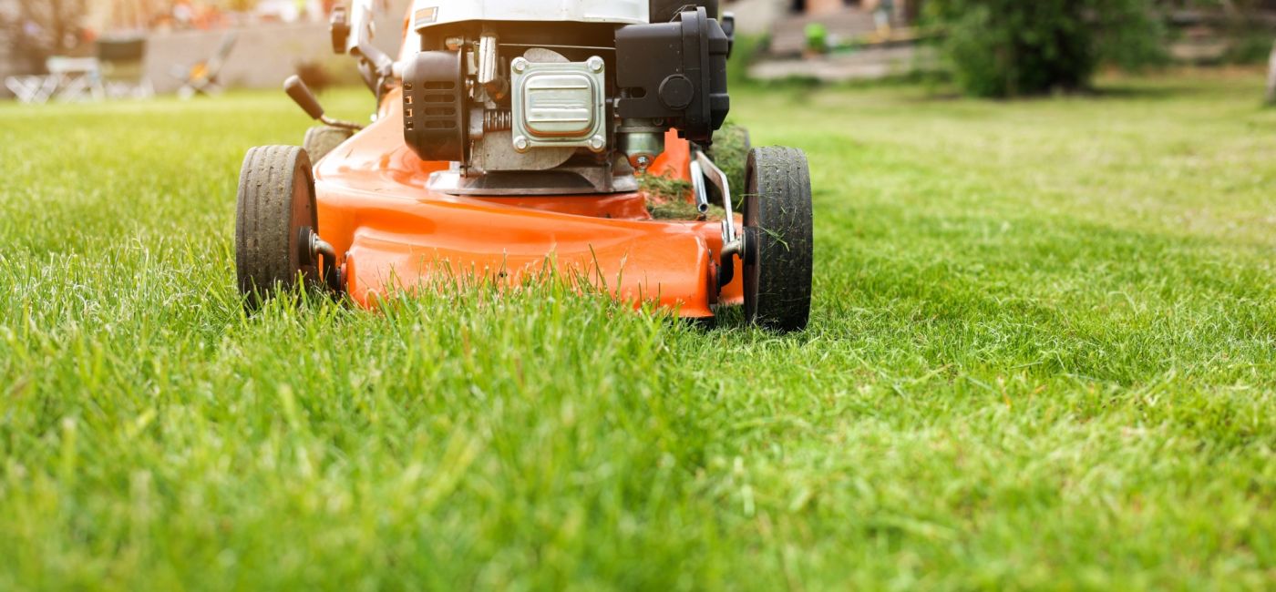 pierwsze koszenie trawy po zimie