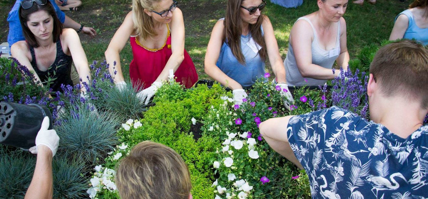 Projekt ZIELONE MIASTO: warsztaty MÓJ ZIELONY DACH.