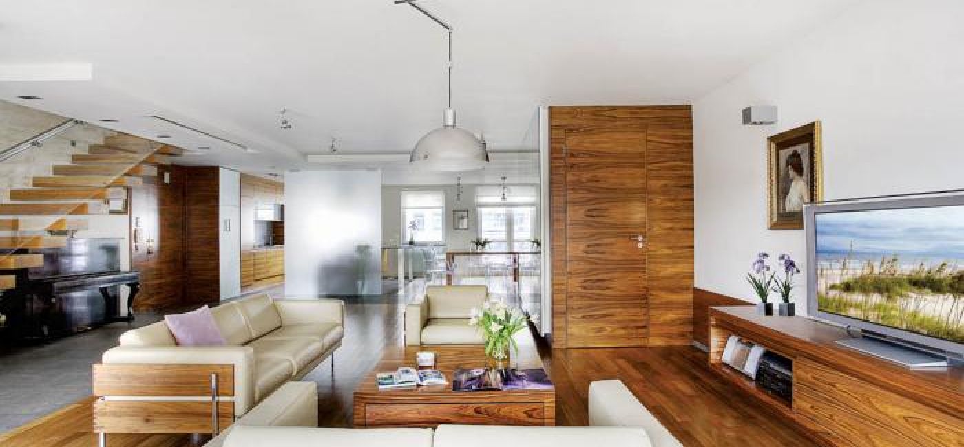 Salon połączony z kuchnią. Apartament palisandrowy