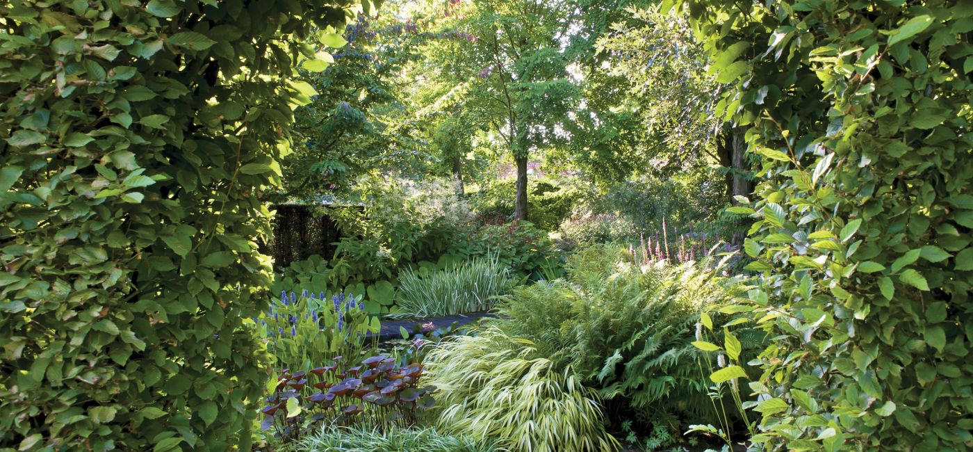 Ogród w Holandii: trochę w cieniu, trochę w słońcu