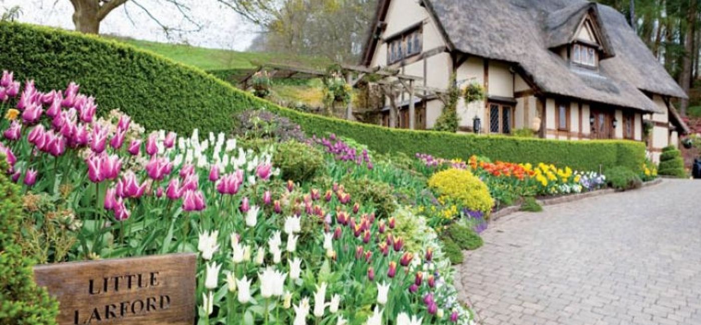 Wiosenne kwiaty w ogrodzie