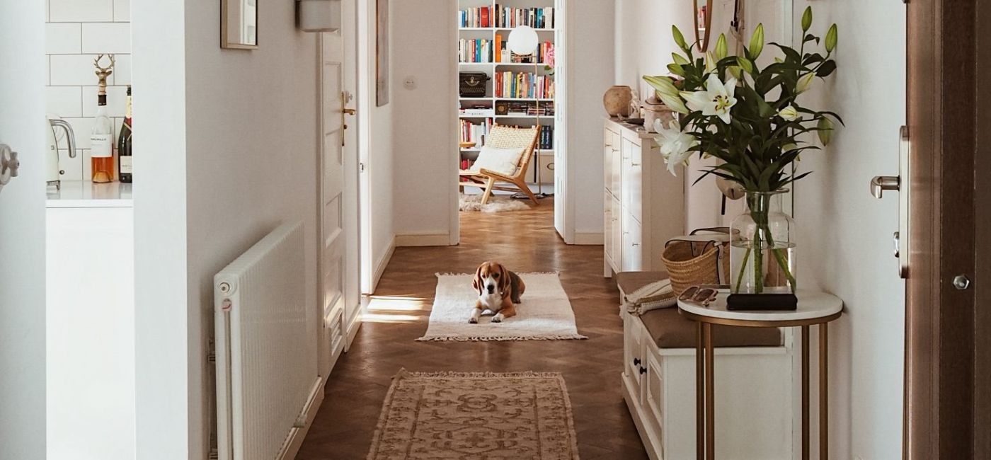 wnętrza w kamienicy  i tu i tam