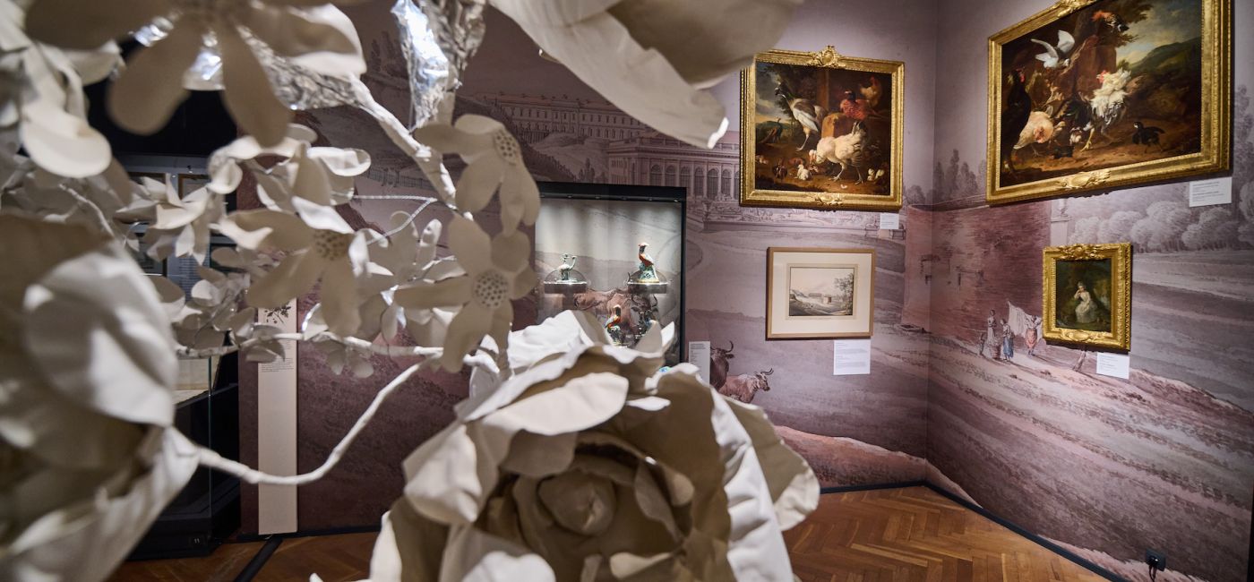 wystawa życie królewskiego ogrodu w muzeum łazienki królewskie