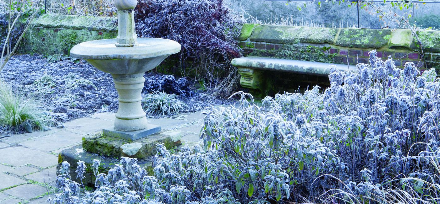 Zimowy ogród Williama Robinsona