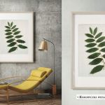 Obraz z kolekcji Botanika, naturalne liście kokoryczki wielokwiatowej na tkaninie z ekskluzywnej kolekcji Pierre’a Cardina,