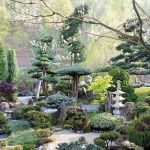 Japoński ogród niedaleko Kudowy-Zdrój. Najpiękniejsze drzewka bonsai w Polsce.