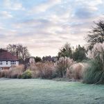 Zima w ogrodzie: Wisley pod Londynem