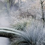 Zima w japońskim ogrodzie