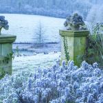 Ogród zimowy guru angielskiego ogrodnictwa