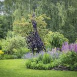 ogród pełen zaskakujących zakątków