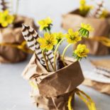 kiedy kwitnie rannik