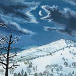 Kamil Targosz, Drapieżne, 2007 r. Zimowe pejzaże Kamila Targosza