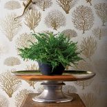 pamiątki z wakacji jak udekorować nimi wnętrze