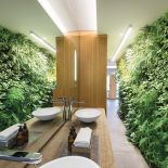 Pionowy ogród w łazience, z żywymi roślinami i oszczędnym systemem automatycznego nawadniania, livinggreenwalls.co.za