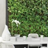 Jadalnia w stylu eko z pionowym ogrodem