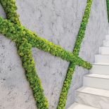 Zielone ściany z chrobotka reniferowego, mossdecor.pl