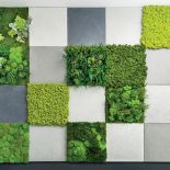 Z chrobotka reniferowego na samoprzylepnych panelach można układać fantazyjne dekoracje, mossdecor.pl