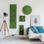 Obrazy z porostów mogą mieć różne kształty, a rośliny – różne odcienie, stylegreen.de