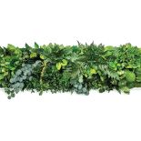 Ogrody wertykalne – wiecznie zielone ściany