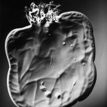 Marek Piasecki, Bez tytułu, 1959. 17. edycja projektu Fotografia Kolekcjonerska: WYSTAWA I AUKCJA MISTRZÓW POLSKIEJ FOTOGRAFII