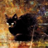 Piotr Pilawa: kocie zaułki. Piotr Pilawa: kocie zaułki