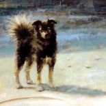 Piotr Pilawa: kocie zaułki. Piotr Pilawa: kocie zaułki