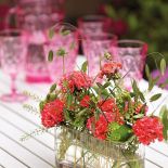 Dekoracje na stół z pelargoniami