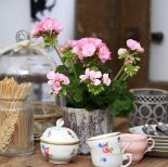 Pomysły na dekoracje z pelargonii