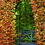 Najpiękniejszy jesienny ogród Holandii