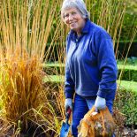 Najpiękniejszy jesienny ogród Holandii