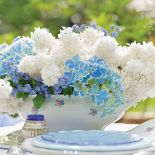 A gdyby tak zamiast tortu ułożyć na paterze wianek z bzów, niezapominajek i poziomek? A w klatce dla kanarka