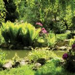 Aby ziemia nie spływała, brzeg stawu umocniono kamieniami i obaszdzono roślinami - rozwiązanie, jak widać,