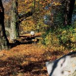 Andrzej Wajda nakręcił tu Panny z Wilka , a Magdalena Łazarkiewicz - Białe małżeństwo .