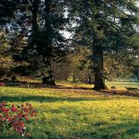 Wokół dworu w Radachówce