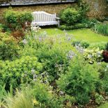 Angielski trawnik i polska łąka - ulubiona kompozycja Ginny.