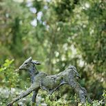 Anna Dębska rzeźbi zwierzęta. Jej drewniany dom stoi w lesie, a pomiędzy drzewami stoi mnóstwo rzeźb.